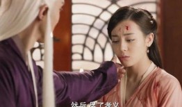 帝君八卦爆料视频在线观看,揭秘娱乐圈幕后真相